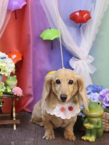 20230616ロイくん